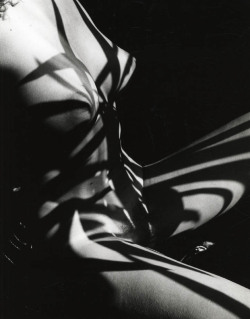 twirlinghair:  Nude study, Agnes, c.1986