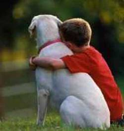 Cachorro não é apenas amigo do homem,e sim é um amigo para o resto de nossas vidas até a morte!