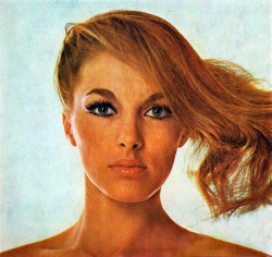 Katey Andress, Cavalier Magazine 1966