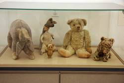 avengent:  aaawhyme:  tobejuliaagain:  aetheling:    “Pooh and his friends were given as gifts by author A. A. Milne to his son Christopher Robin Milne between 1920 and 1922. Pooh was purchased in London at Harrods for Christopher’s first birthday.