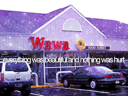 devalina:  mikexdavis:  erikczaja:  silenceofthesirens:  oldtobegin:  jaymegonz:  alyssastumpsies:  For real though, Wawa is my jam.  I wish we had Wawa in NY. the best Iced tea ever.  oh my god, i thought i was the only person in perma-withdrawal from