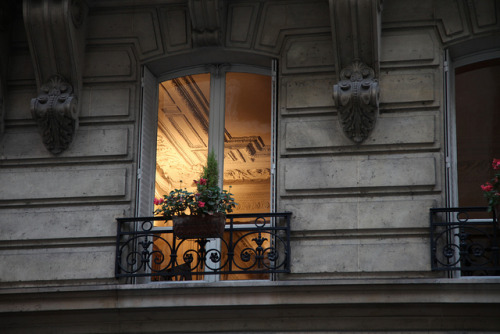 thatgirlinpearls:  warm window (by Alex Rupor) adult photos