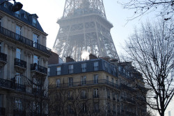 film-grain:  Paris street view of Eiffel Tower (by Phil Harman) 