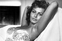 hairypitsclub:  Sofia Loren.Famous Italian actress in the 1960’s.  110% percent relevant to everything about me. Sofia is on of my biggest inspirations.