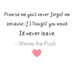Me prometa que nunca irá me esquecer, porque se eu pensar que você irá , eu nunca deixarei. O Ursinho Pooh.