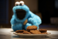 YES.!!!!!!! Cookie Monster.!!!!