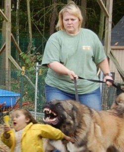 sofeeuhsofia:  runningwithlions:  scaredwhitepeople:  scared by a Cujo  dying  WOT