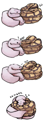 ninja-furry101:  dragonsandbutts:  lasswithapencil:acquaintedwithrask: SNEKS  WHY IS THIS CUTE   The only thing that bugs me about this is that sneks don’t have eyelids so they can’t squint or blink… But I am a weirdo who can’t stop thinking about