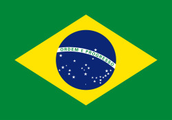   BRASILEIROS NO TUMBLR ♥ Reblog se você é do Brasil !   