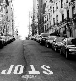 riverflowsthroughit:  Sometimes you just have to stop - Upper West, Riverside Dr., Manhattan, April 2011 