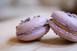 gastrogirl:  lavender and vanilla bean macarons. 