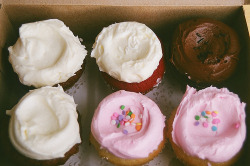 Dearscience:  Sweet Bliss Bakery Cupcakes (By Erica_Knits) 