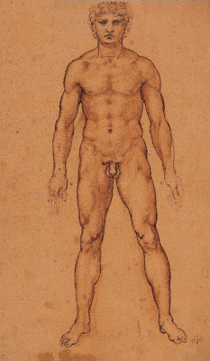 jonnodotcom:  Leonardo da Vinci (b. 15 April 1452)A nude man from the frontca. 1504-6 (@ the Royal Collection, UK) 