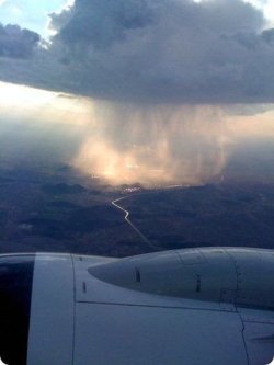 itsemilylui:  this is what rain looks like