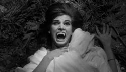 La Strage dei Vampiri / Slaughter of the Vampires (1962)