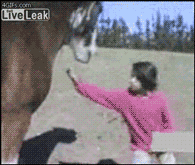 Bebelosthermindd:  Boyss210:   Bitch, Don’t Touch Me.  Oh Look A Horse Lool  Lmfaooo