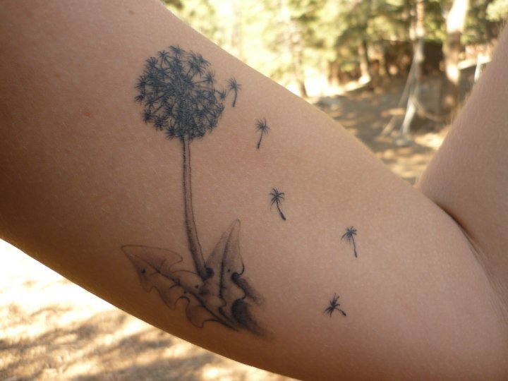 fuckyeahtattoos:  Dandelion is on the inside of my left arm. It’s the only tattoo