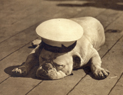 adventures-of-the-blackgang:  Christmas Day In The Navy This delightful photo of an old seadog catching a few winks, appeared in the 17 November, 1937 issue of The Sphere. A caption read, “A siesta study after special rations”. 