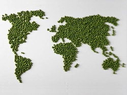 World Peas!