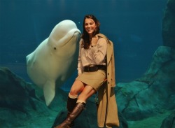 bitchcalmyotitz:  thisispaul:  justadreamer999:   Dutchess of Cambridge Catherine &amp; the Prince OF WHALES.   actually, that is dolphin.  actually no that’s not….it’s a beluga whale…look ‘em up! 