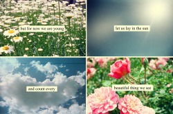 every beautiful thing we can* see &lt;3 Neutral Milk Hotel