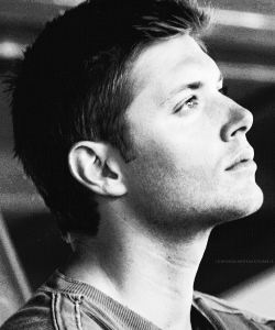 brokensilence137:  Jensen, be prettier. Go ahead, I dare you. 