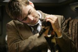gunpowderblues:  emilyswash:  idkcatstuff:  [image: photo of the doctor (from doctor who) as portrayed by david tennant, cuddling and gently scratching the head of a tiny little kitten who looks to be mid-meow.]  WIBBLEY WOBBLEY KITTY WITTY  I daaaawed
