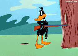 gusnyc:  Daffy Duck no homo 