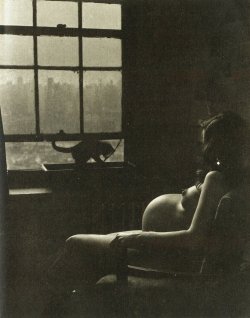 editionaladdictions:  by Philippe Halsman, Pregnant Woman &amp; Cat, 1950 