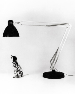 Moloch Gaetano Pesce&rsquo;s oversized take on Jacobsen&rsquo;s Naska Loris /Luxo L1 ; photo by Aldo Ballo, 1972