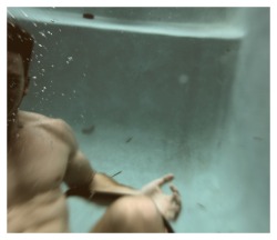 In the Pool - Sept 2010 - Alexander Guerra