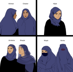 tranqualizer:  s oppressedbrowngirlsdoingthings:  leftist-linguaphile:  thatqueerchick:  EVERYONE gets niqab and burka the wrong way round in the West. And when it’s large media organisations, it’s really inexcusable.  I can admit I don’t always