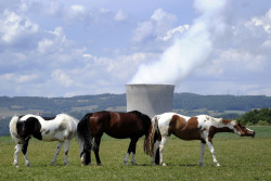 Nuclear plant - Leibstadt, Switzerland  The farmland of the canton of Aargau is some of the most fertile in Switzerland. Dairy farming, cereal and fruit farming are among the canton&rsquo;s main economic activities. In 2003 a Greenpeace activist