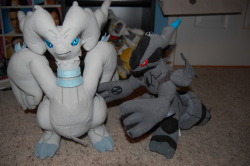 officer-jenny:  Reblog this post and I will pick one person at random, and send that person either Reshiram or Zekrom. You can reblog as many times as you want. You do not need to be following me. I will be choosing the winners one week from today, on
