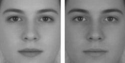 cwissi:   Two pictures with the exact same face. But, in one photo you see a girl and in the other one - a guy. The fact is that this face was created on computer by mixing male and female face features, which gave this androgynous face. With a change