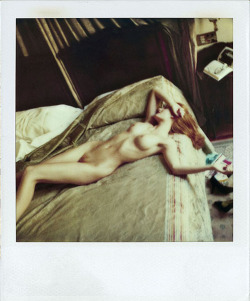 nevver:  Helmut Newton Polaroids 