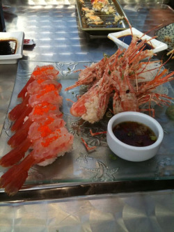 Live shrimp, delish