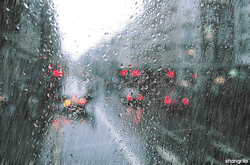 prin-cipe:  Dias chuvosos são bons quando você se sente triste, pois você não é o único a chorar, o céu está chorando com você.