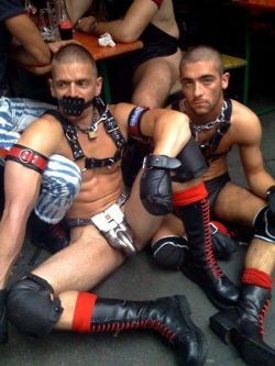 poz-skinhead-pig:  mister-sir1:  Because they’re not allowed at the table.    now there is a coule of hot slave pigs, dont know if i want to top and fuck em or join em