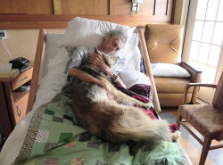 yebrensaye:   A picture is worth a thousand words… A dying man holding his best friend. He lived homeless in Iowa with his dog in a car. When he became terminally ill and placed in hospice, his only request was to hold his dog one last time before passing