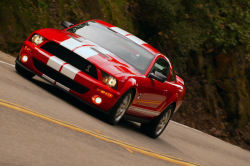 shavarsh:  Ford Mustang<3