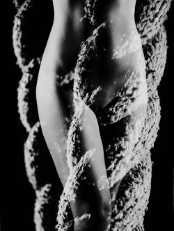 Frenchtwist:  Via Billyjane:  Woven, 2010 By Guenter Knop  