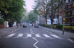film-grain:  Abbey Road (by Charlotte Marks)