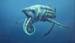 letfatestaynight:  wolyboly:  The Helicoprion was a shark-like fish that arose in the oceans of the late Carboniferous 280 million years ago, and eventually went extinct during the early Triassic some 225 million years ago. The Helicoprion kept