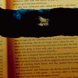 “I will say it again,” said Dumbledore, as the phoenix rose into the air, and resettled itself upon the perch beside the door. “You have shown bravery equal to those who died fighting Voldemort at the height of his powers. You have shouldered a