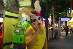 HELLO? HELLO! - Tokyo 2011 - Alexander Guerra  *Hello Bunny Returns