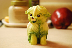 coreena:  this made me lose my shit  OK, not dirty or sexy, but how can a cabbage dog not be interesting??