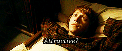 D-R-A-C-O:  Ron Weasley: [About Ginny And Dean] What Do You Think He Sees In Her? Harry