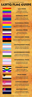 multisexual:  “Ultimate LGBTQ Flag Guide“ by ~leiandlove (deviantart) Other than the debatable definition of bisexual, this is pretty good. And the use of “lesbian and bisexual women” and “gay and bisexual men” can be seen as pretty exclusive