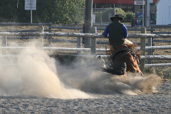 Ranch Horse Competition by OhBoyd on Flickr.